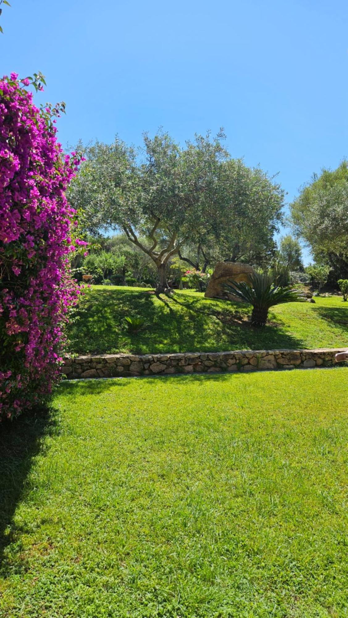 סאן תאודורו Residenze Coda Cavallo מראה חיצוני תמונה
